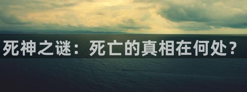 91动漫视频免费：死神之谜：死亡的真相在何处？
