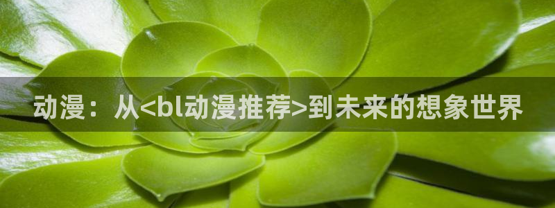 91动漫在：动漫：从<bl动漫推荐>到未来的想象世界