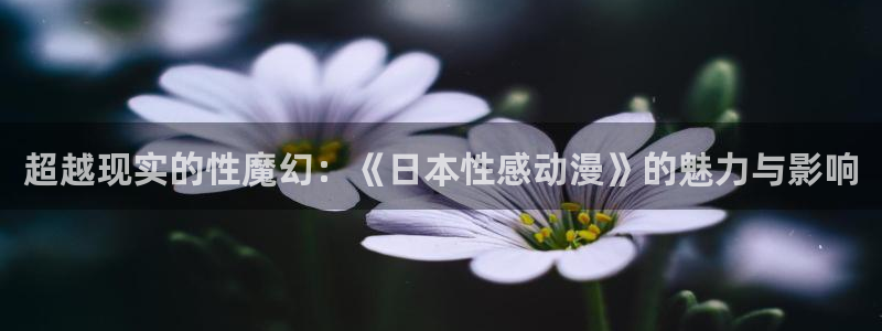 91动漫头像：超越现实的性魔幻：《日本性感动漫》的魅力与影响