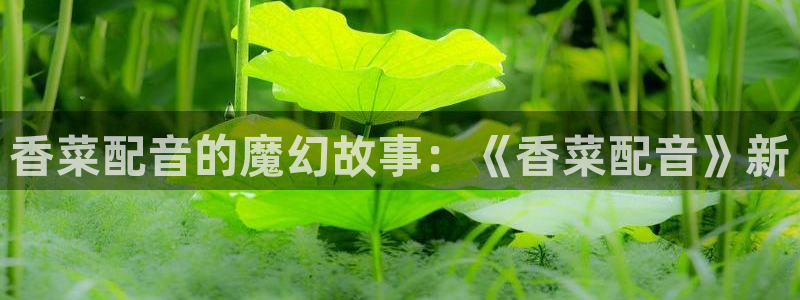 91动漫专区：香菜配音的魔幻故事：《香菜配音》新