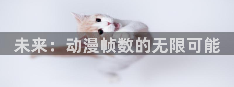91动漫网络：未来：动漫帧数的无限可能