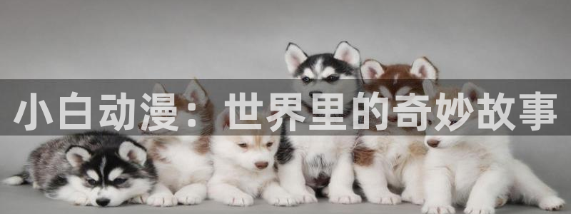 91动漫在：小白动漫：世界里的奇妙故事